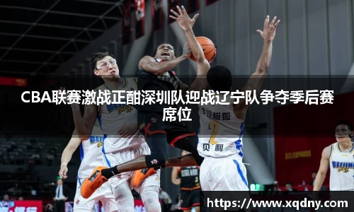 悟空体育CBA联赛激战正酣深圳队迎战辽宁队争夺季后赛席位